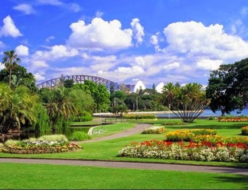 Royal Botanic Gardens